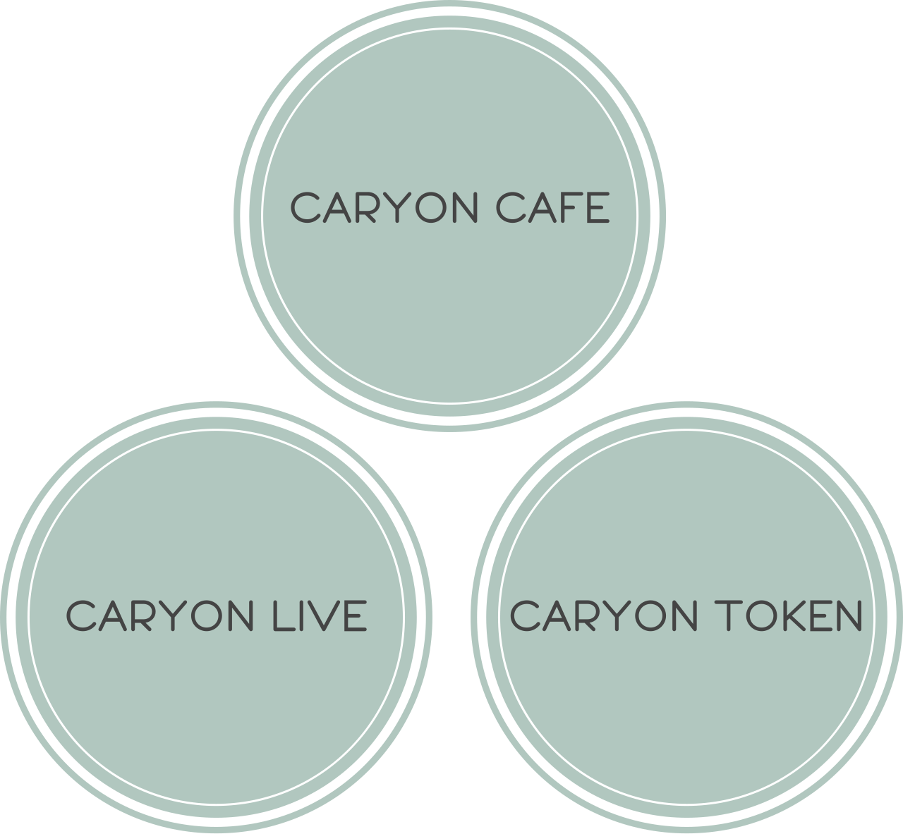 Caryon Services Visualization